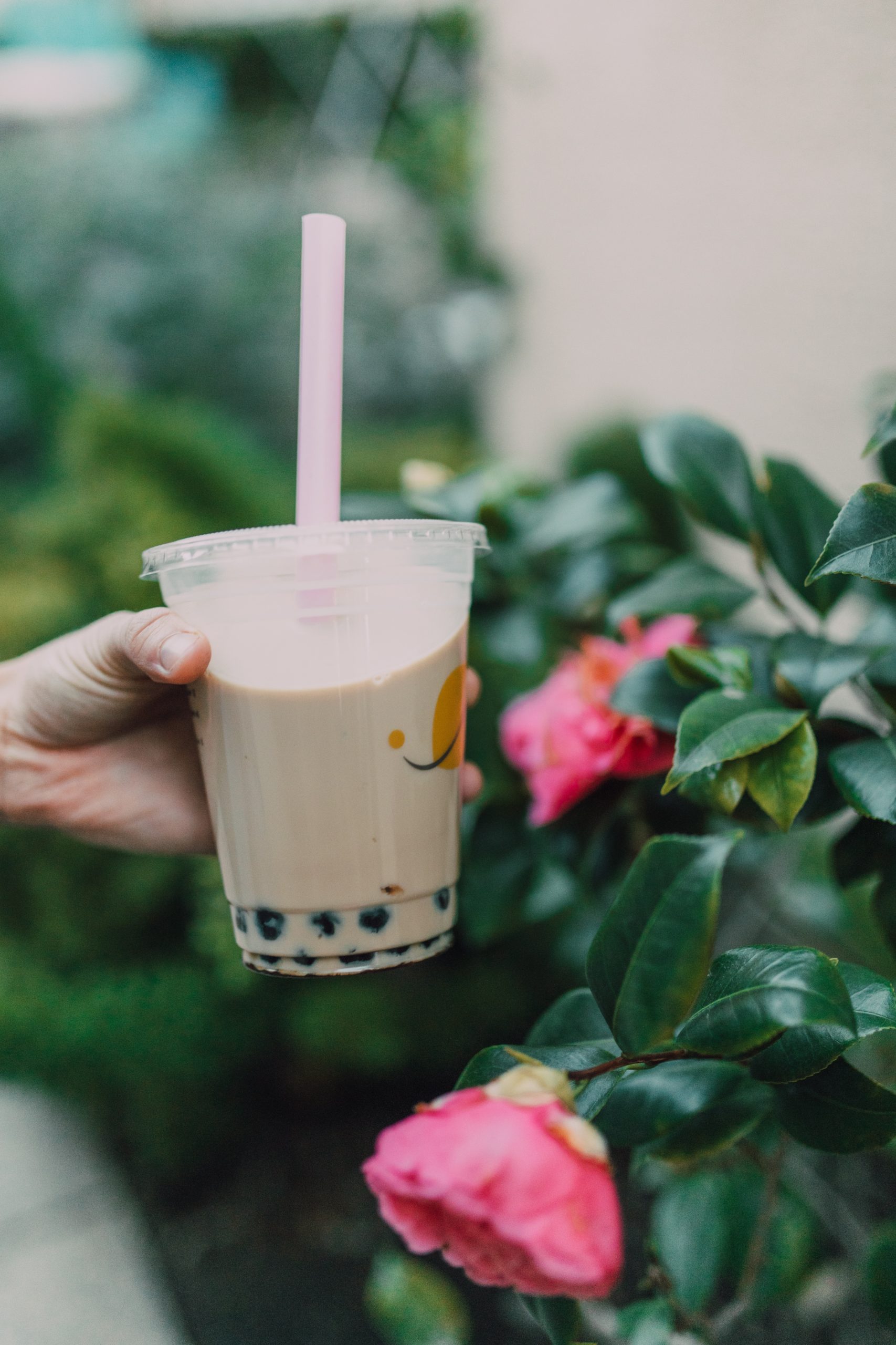 Boba Tea Recipe