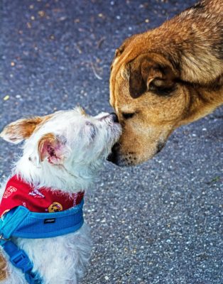 Who do you like to be friends with?