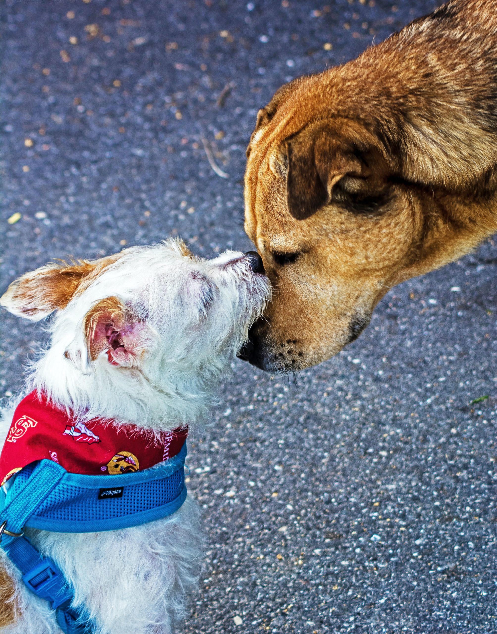Who do you like to be friends with?