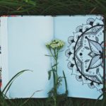 Clues from the Diary