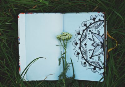 Clues from the Diary