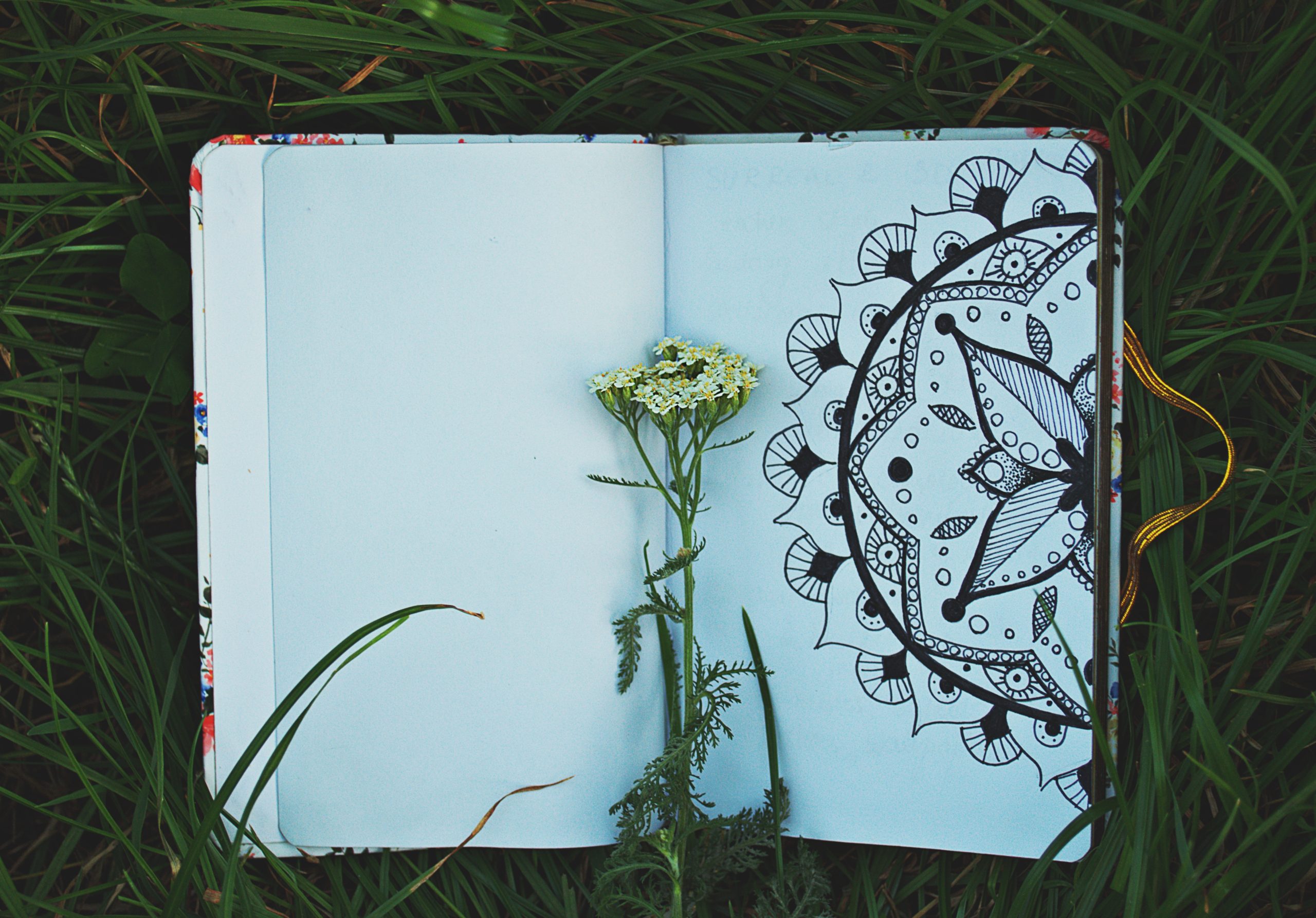 Clues from the Diary