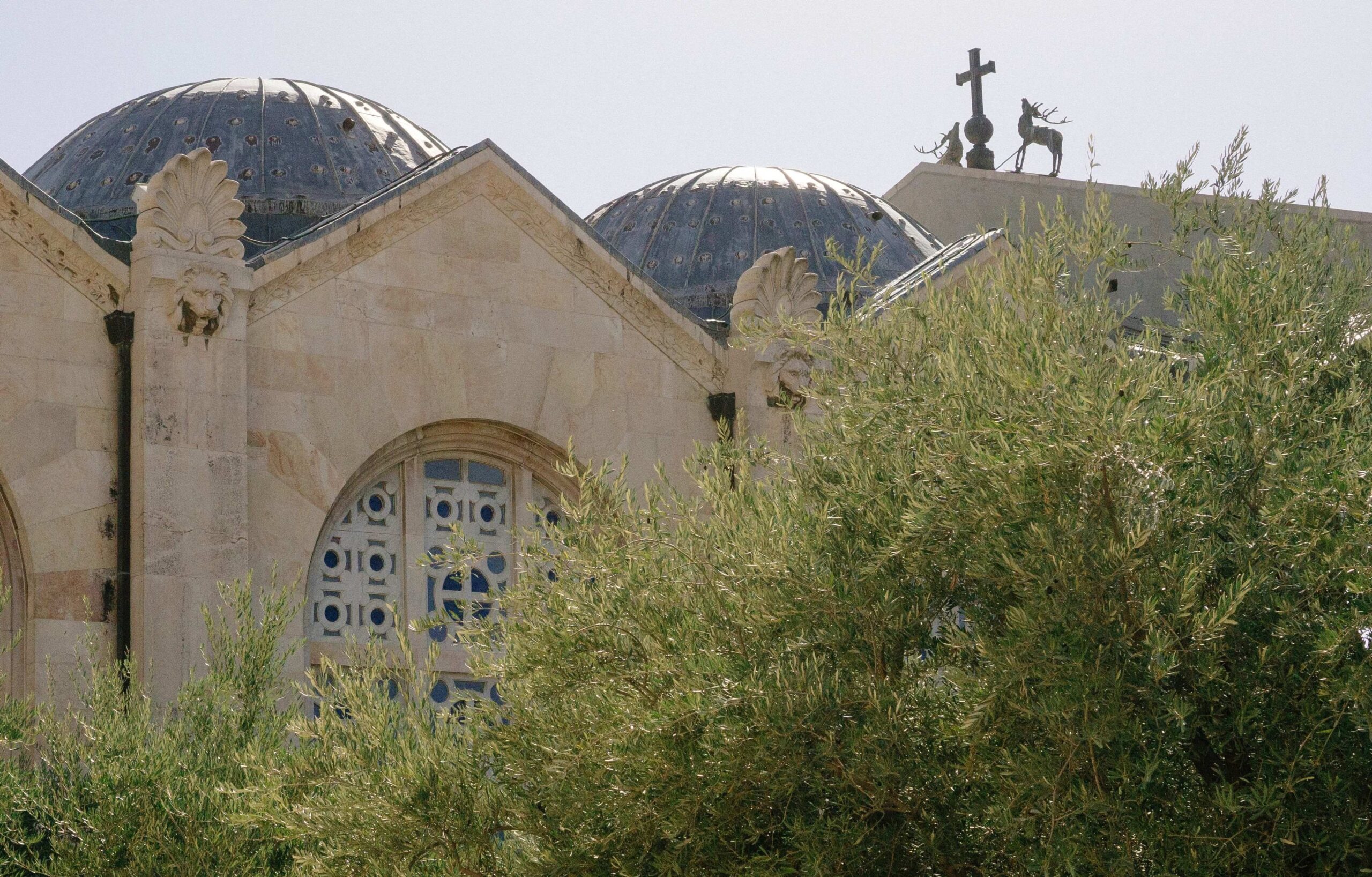 The Garden of Gethsemane atop the Mount of Olives