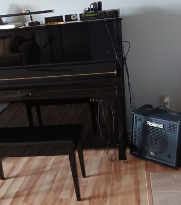 Hybrid Piano