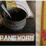 Mopane Worm