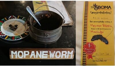Mopane Worm