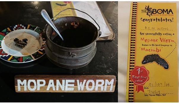 Mopane Worm